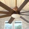 Outdoor Ceiling Fans With Covers (Photo 8 of 15)