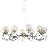 Black And Brass 10-Light Chandeliers (Photo 6 of 15)