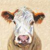 Cow Canvas Wall Art (Photo 4 of 15)