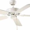 High Volume Outdoor Ceiling Fans (Photo 10 of 15)