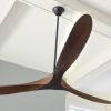 Large Outdoor Ceiling Fans With Lights (Photo 3 of 15)
