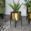 Gold Plant Stands (Photo 4 of 15)