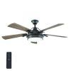 Outdoor Ceiling Fans With Dc Motors (Photo 9 of 15)