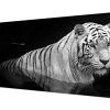 Large Black And White Wall Art (Photo 14 of 15)