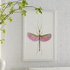 Insect Wall Art (Photo 6 of 15)