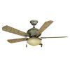 Stainless Steel Outdoor Ceiling Fans (Photo 15 of 15)