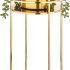 15 Collection of Brass Plant Stands