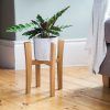 Wooden Plant Stands (Photo 8 of 15)