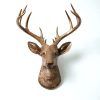 Stags Head Wall Art (Photo 12 of 15)
