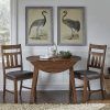 Transitional 4-Seating Double Drop Leaf Casual Dining Tables (Photo 4 of 25)