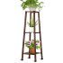  Best 15+ of Brown Plant Stands