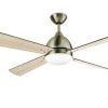 Outdoor Ceiling Fan With Light Under $100 (Photo 6 of 15)