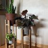 Set Of Three Plant Stands (Photo 1 of 15)