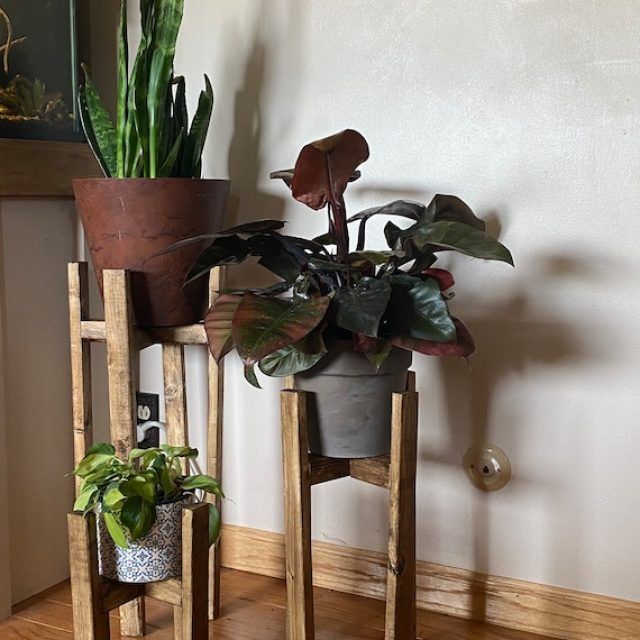 15 Inspirations Set of Three Plant Stands