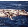 Humpback Whale Wall Art (Photo 9 of 15)