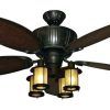 Exterior Ceiling Fans With Lights (Photo 8 of 15)