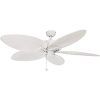Outdoor Ceiling Fans For Coastal Areas (Photo 14 of 15)