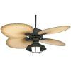 Efficient Outdoor Ceiling Fans (Photo 8 of 15)