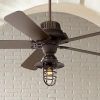 Outdoor Ceiling Fans With Cage (Photo 8 of 15)