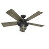 Outdoor Ceiling Fans With Remote (Photo 13 of 15)