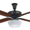 Outdoor Ceiling Fans With Schoolhouse Light (Photo 15 of 15)