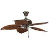 Outdoor Electric Ceiling Fans (Photo 10 of 15)