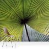 Palm Leaves Wall Art (Photo 15 of 15)