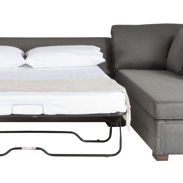 15 Ideas of Pull Out Beds Sectional Sofas