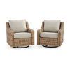 2 Piece Swivel Gliders With Patio Cover (Photo 1 of 15)