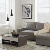 Palisades Reversible Small Space Sectional Sofas With Storage (Photo 11 of 25)