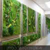 Moss Wall Art (Photo 11 of 15)