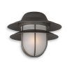 Nautical Outdoor Ceiling Fans With Lights (Photo 9 of 15)