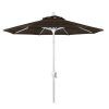 Wallach Market Sunbrella Umbrellas (Photo 10 of 25)