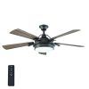 Indoor Outdoor Ceiling Fans With Lights And Remote (Photo 1 of 15)