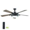 Outdoor Ceiling Fan With Brake (Photo 3 of 15)