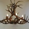 Stag Horn Chandelier (Photo 8 of 15)