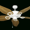Outdoor Ceiling Fans With Plastic Blades (Photo 10 of 15)