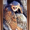 Owl Framed Wall Art (Photo 9 of 15)