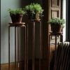 Pedestal Plant Stands (Photo 6 of 15)