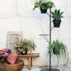 Prism Plant Stands (Photo 5 of 15)