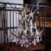 Stag Horn Chandelier (Photo 9 of 15)