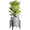 14-Inch Plant Stands (Photo 1 of 15)