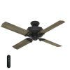 Hunter Outdoor Ceiling Fans With Lights And Remote (Photo 4 of 15)