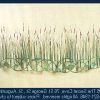 Cattails Wall Art (Photo 13 of 15)