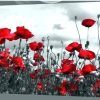Red Poppy Canvas Wall Art (Photo 6 of 15)