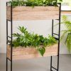 Rectangular Plant Stands (Photo 8 of 15)