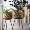 Brass Plant Stands (Photo 2 of 15)