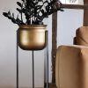 Bronze Small Plant Stands (Photo 2 of 15)