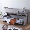 Sofa Bunk Beds (Photo 2 of 15)