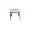 Rustic Mid-Century Modern 6-Seating Dining Tables In White And Natural Wood (Photo 4 of 25)